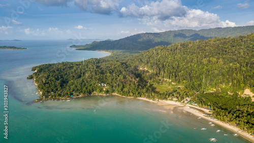 Aerial coastline view with boats and forest