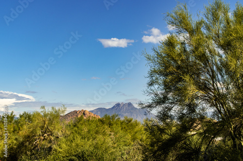Superstision Mountain landscape from the Lost Dutchman Park  Arizona