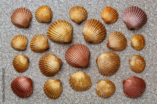 Pattern of exotic seashells in gold color.