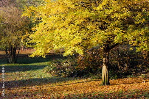 Beautiful Autumn at Grove Park, Birmingham, UK photo