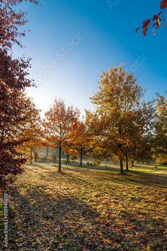 Beautiful Autumn at Grove Park  Birmingham  UK