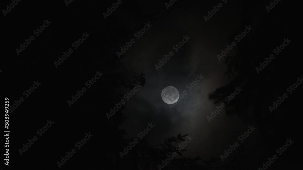 Stormy Night Full Moon Through Forest Trees Real Time Stormy Night Full Moon Through Forest Trees Real Time