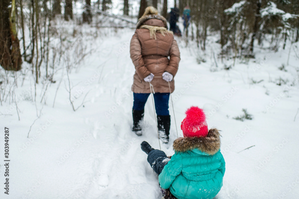 Mother pulling sled with her daughter sitting on it in winter snowy day at nature. Mother pulling sled with her daughter sitting on it in winter snowy day at nature.