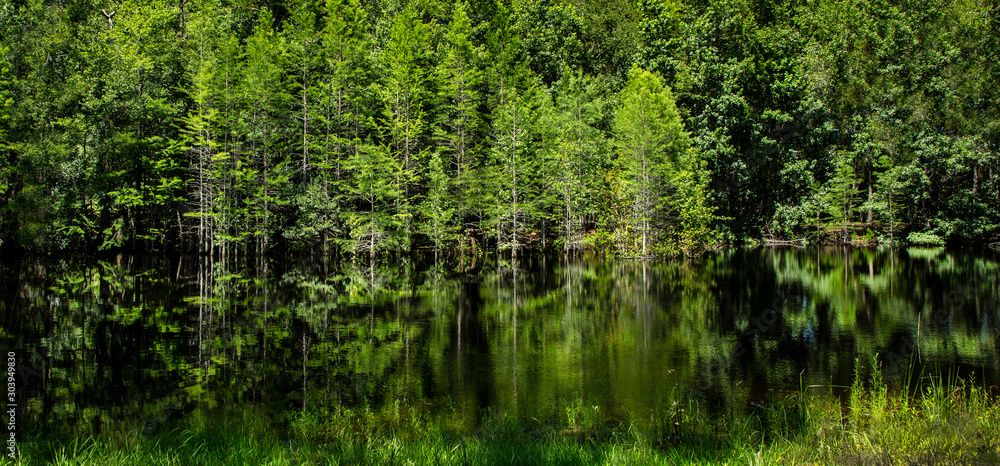 South Georgia Pond