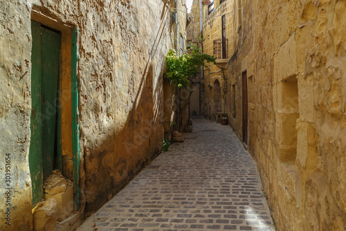 Obraz na płótnie The narrow street in Ir-Rabat, Victoria, Gozo, Malta w salonie