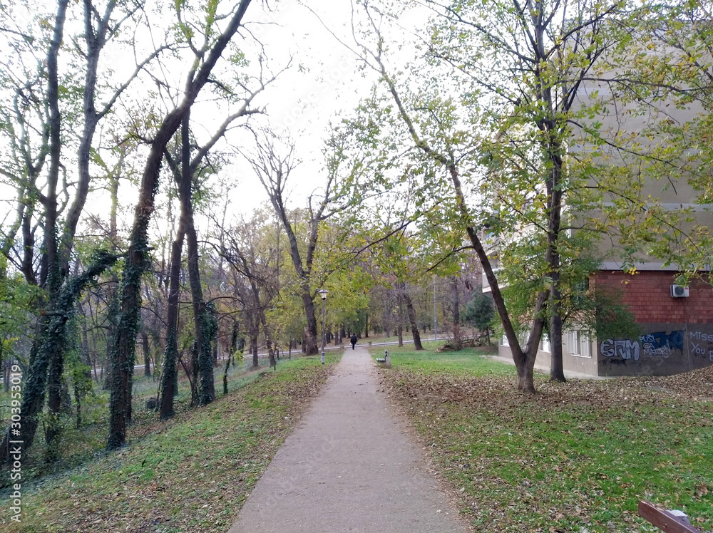Sumice - Little Forest - Konjarnik, Vozdovac, Belgrade, Serbia - park footpath surrounded by trees