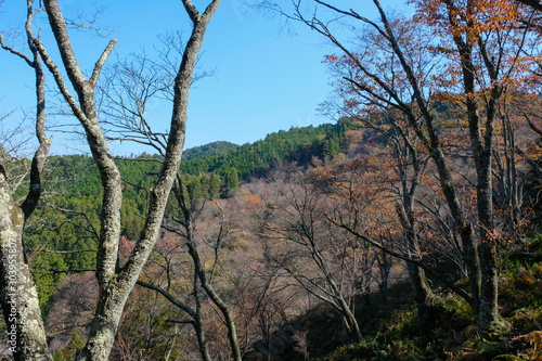 千本桜で有名な吉野山