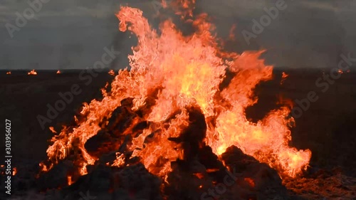 Piles of flax straw burning after harvest