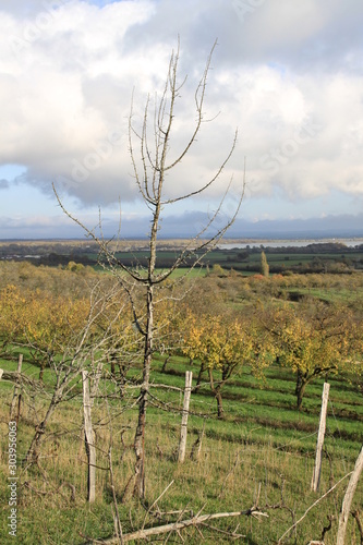 Paysage côtes de meuse