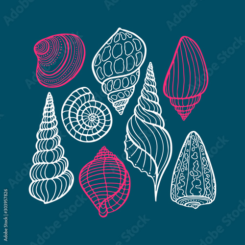 Hand drawn set of various seashell