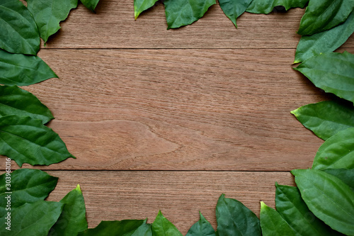 Frame of tropical green leaf border on wooden background.