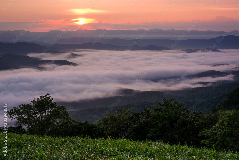 Obraz premium The mist and sunrise at Mon Kieng Dow, Nan province in Thailand.