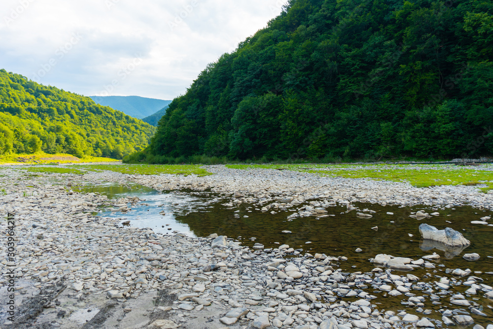 Wild mountain river near hill with forest behind Wild mountain river near hill with forest behind