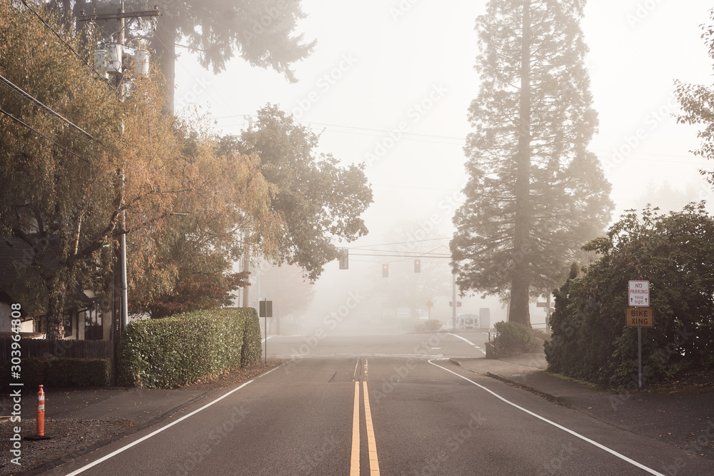 Suburban road on a misty fall morning. Suburban road on a misty fall morning.