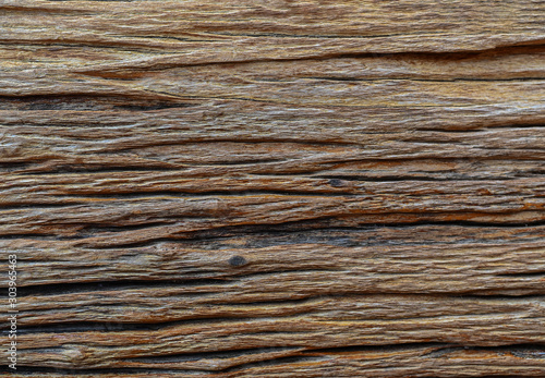 Old tree stump texture backgroud wooden nature texture table top for design blackdrop or overlay
