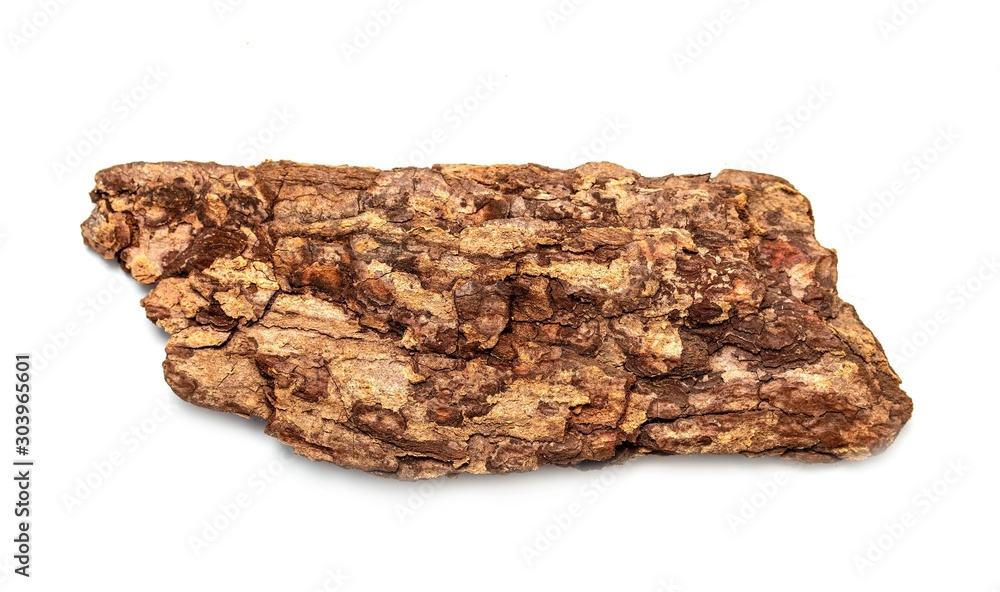 A piece of tree bark is isolated on a white background. A piece of tree bark is isolated on a white background.
