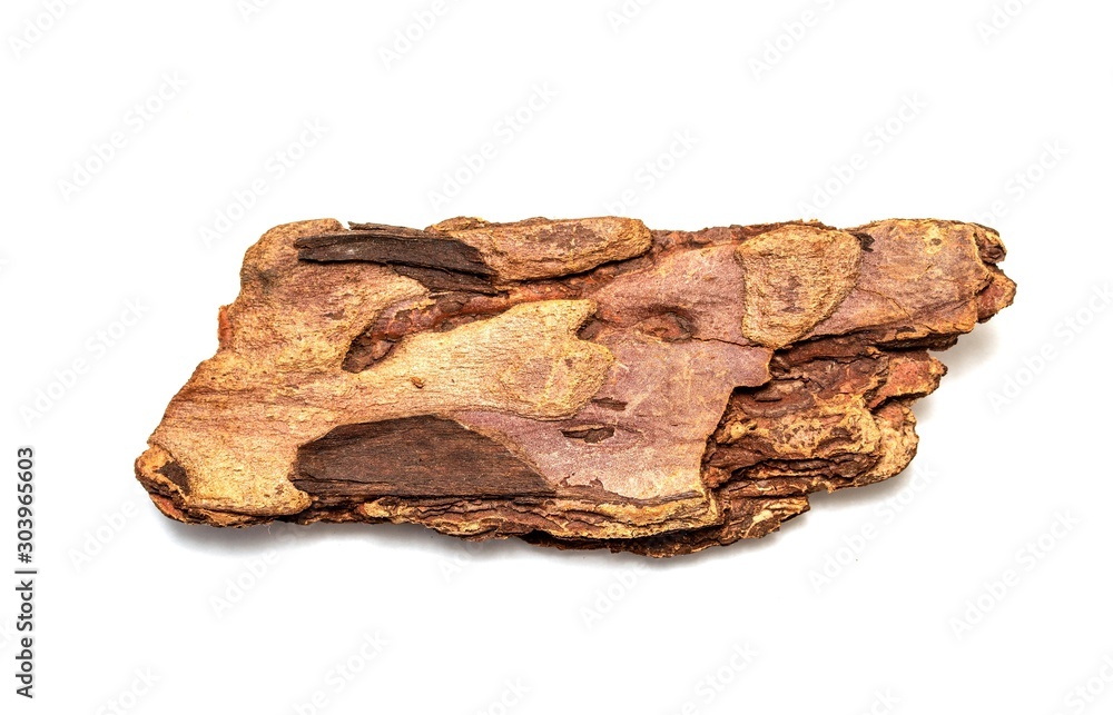 A piece of tree bark is isolated on a white background. A piece of tree bark is isolated on a white background.