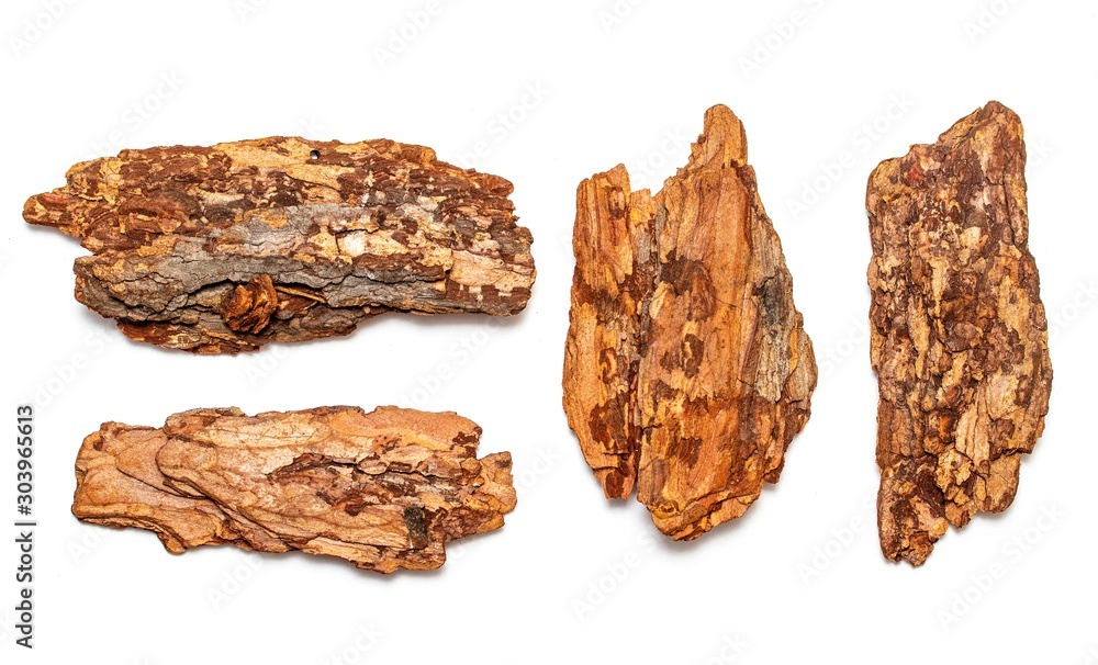 A piece of tree bark is isolated on a white background. A piece of tree bark is isolated on a white background.