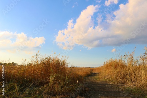 空 雲 秋 風景 渡良瀬 栃木