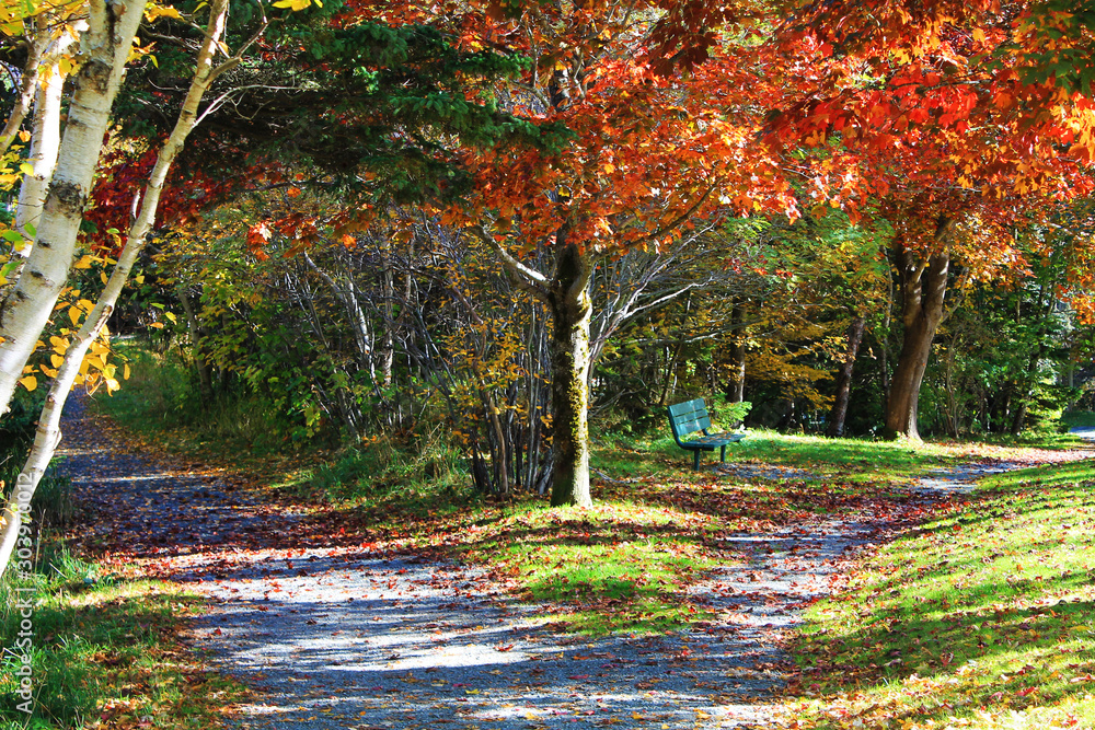 Εκτύπωση καμβά autumn in the park