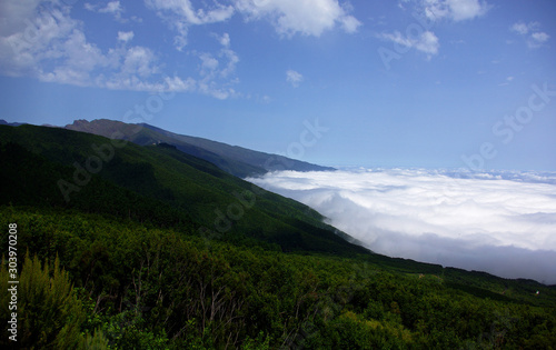 From the top a huge sea of ​​clouds reaching a shore full of pine trees