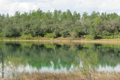 Beautiful view on rivers and forests of North Florida nature