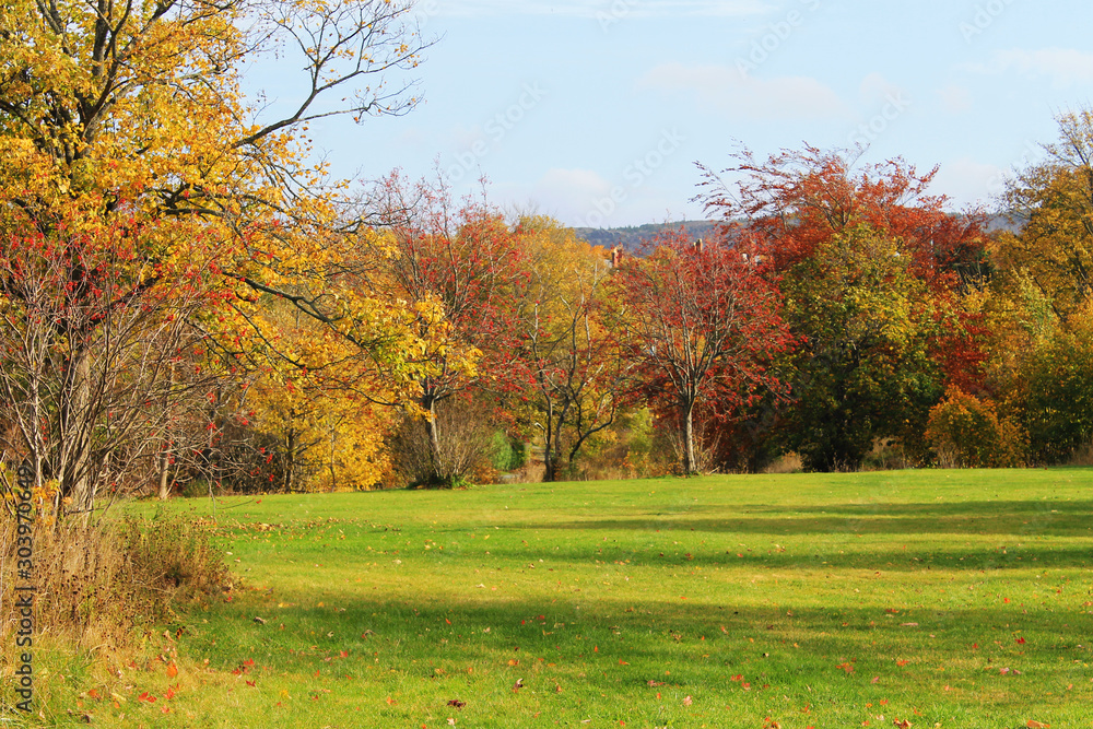 Green field surrounded by trees in autumn colors.