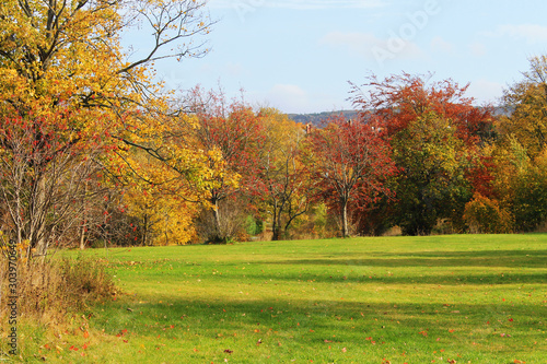 Green field surrounded by trees in autumn colors.