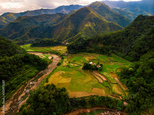 Rice Fields with mountain hills in Ifugao Cordillera Banaue Mountain Province Philippines