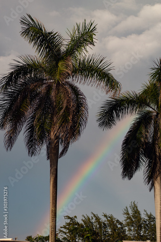 Two palm trees with a rainbow and clouds in the background 