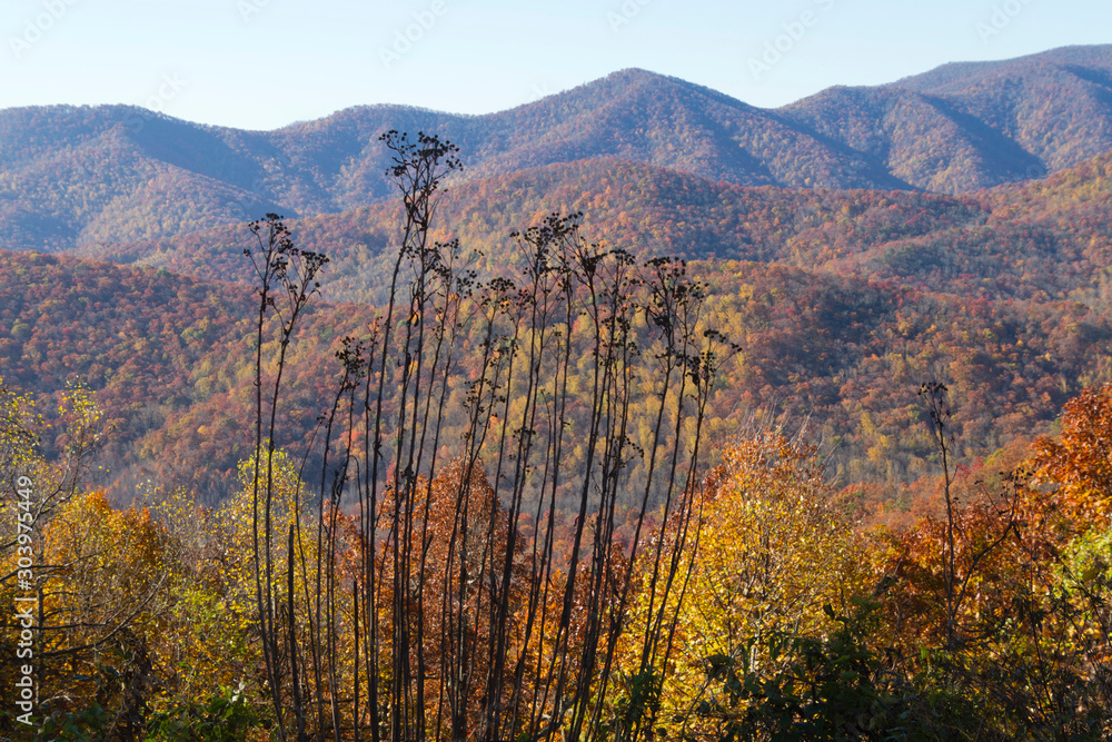 Φωτογραφία Brilliantly Colored Forests of the Blue Ridge Mountains of North Carolina in Aut