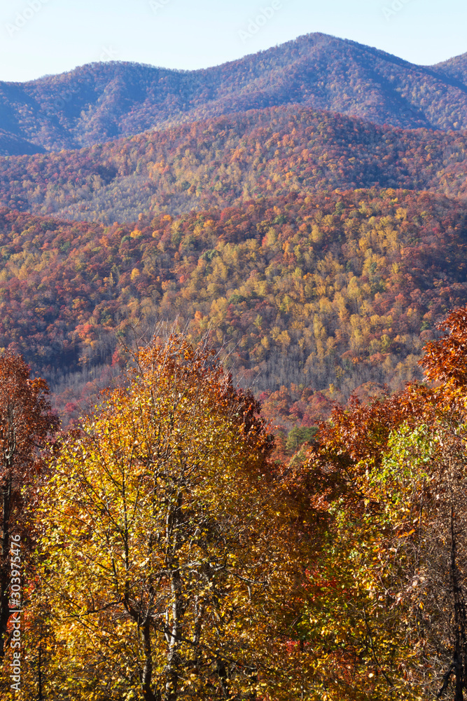 Breathtaking Colors of the Appalachian Mountains in Autumn