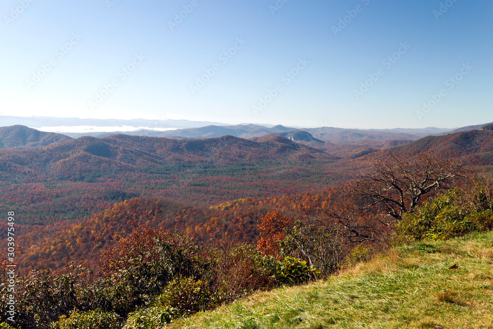 Beautiful Sea of Forrested Mountains in Peak Autumn Color