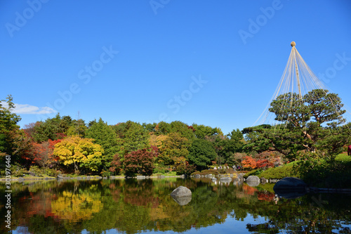 秋の日本庭園 photo