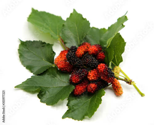 Red and black Berries of the ripe mulberry healthy fruit and green leaf isolated on white background