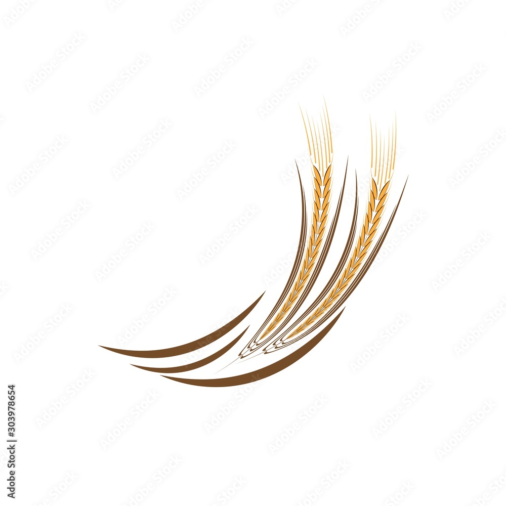 Agriculture wheat Logo Template Agriculture wheat Logo Template