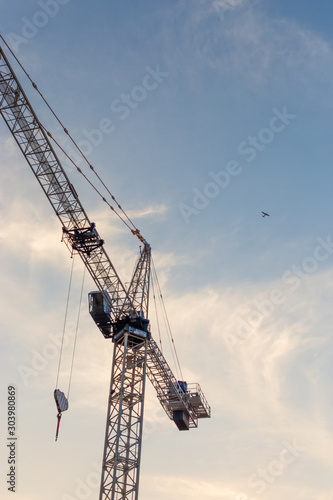 Building Crane with a bird