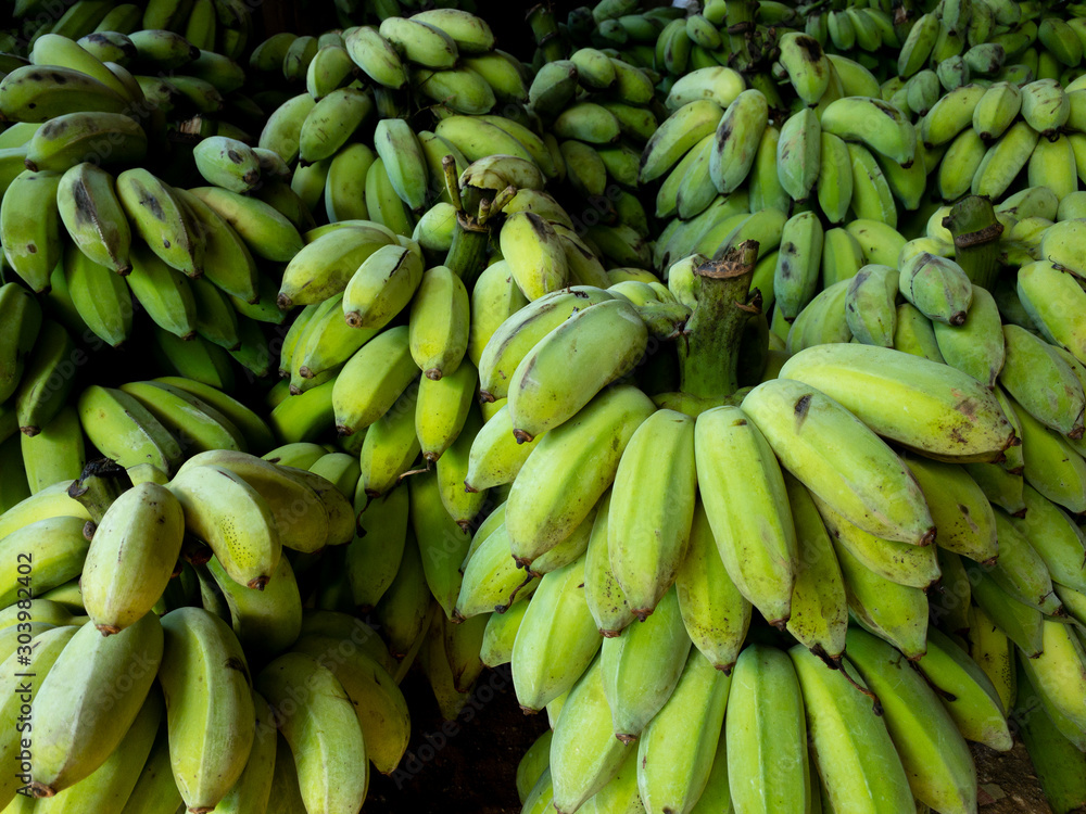 Fresh green bananas Fresh green bananas Fresh green bananas Fresh green bananas
