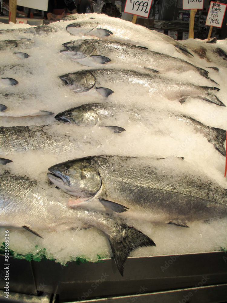 salmon trout on ice at a market