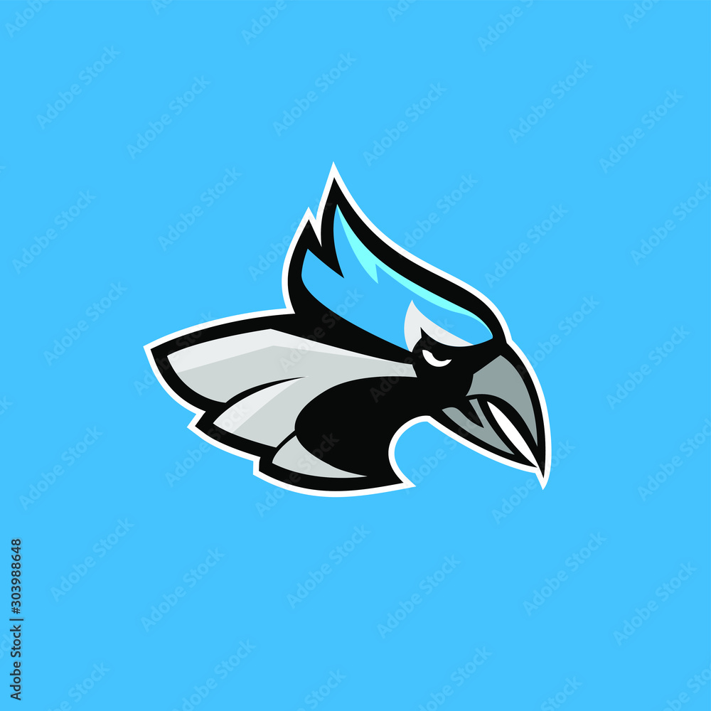 blue jay bird color head mascot logo icon designs vector illustration blue jay bird color head mascot logo icon designs vector illustration