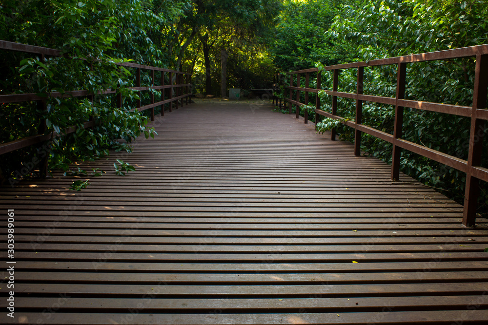 Beautiful view of bridge made up of steel rods in a park Beautiful view of bridge made up of steel rods in a park