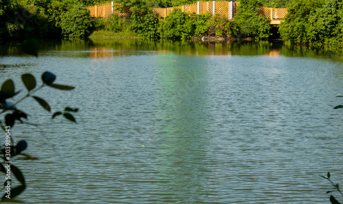 Photography Scenic view of a wetland in a park, Chennai, India