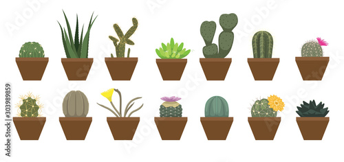 Cactus Side View Succulent and Cacti Set Vector Illustration Set