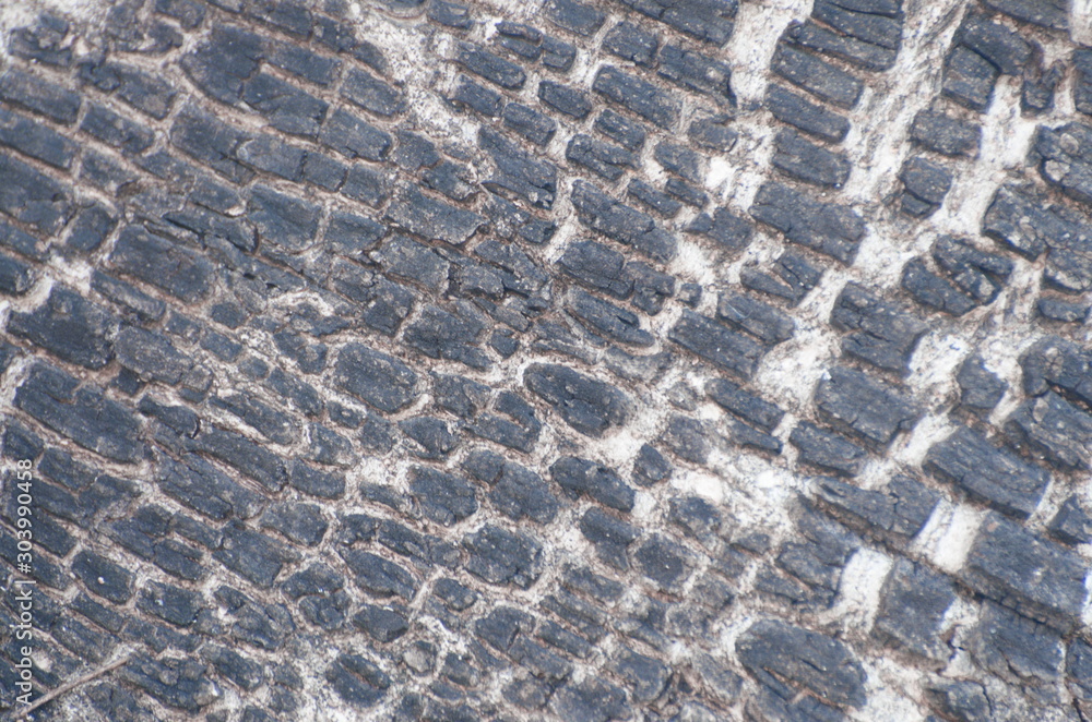 Embossed cracked texture of the tree bark. Embossed cracked texture of the tree bark.