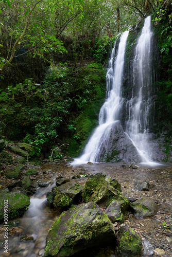 Elvy Stream Waterfall  New Zealand.