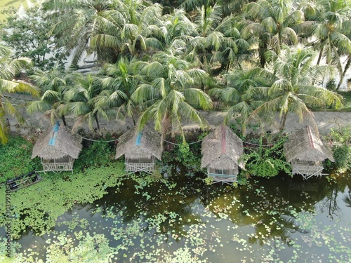 A top down aerial view of a lake or pond filled with water lilies with a hut in the middle. Located in Jong’s Crocodile Farm of Kuching, Sarawak, Malaysia.