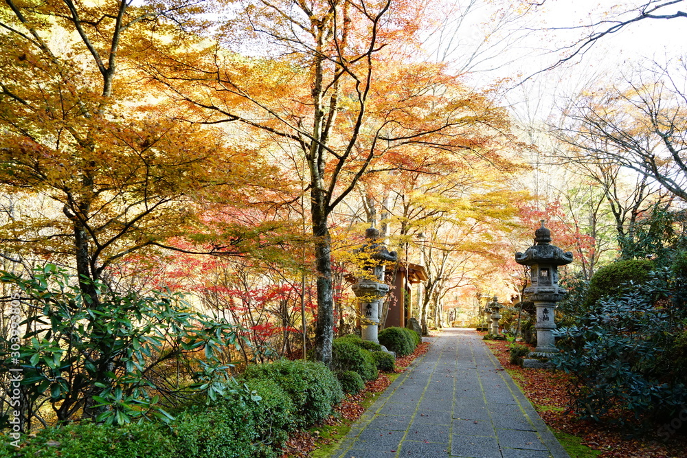 日本の秋