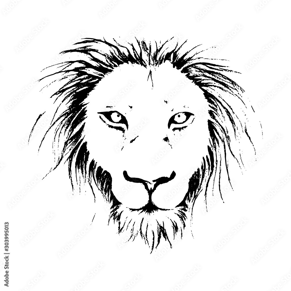 Obraz premium head of lion