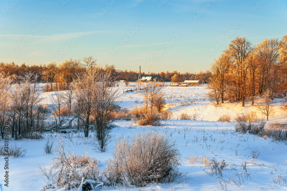 Rural landscape at sunset in winter.Novgorod oblast.Russia Rural landscape at sunset in winter.Novgorod oblast.Russia