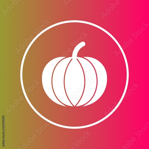 paprika icon isolated on abstract background